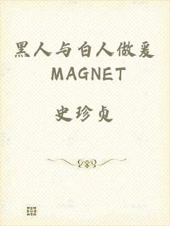 黑人与白人做爰 MAGNET